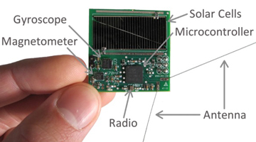 Bio-inspired Satellite Constellation Control